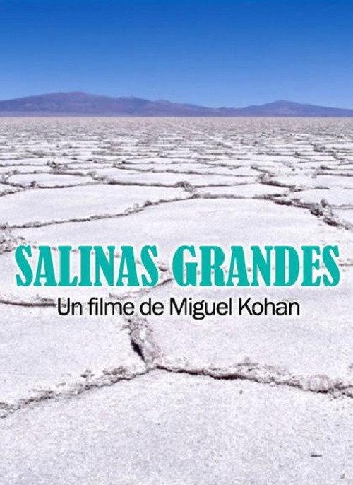 Salinas grandes 2014 official movie poster