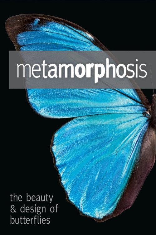 Metamorphosis: The Design and Beauty of Butterflies 2011 official movie poster