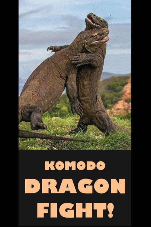 Komodo Dragon Fight! 2017 official movie poster