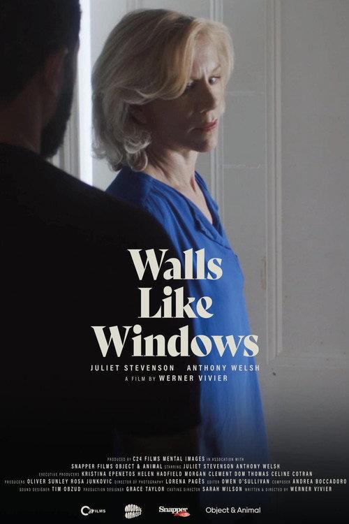 Walls Like Windows 2022 official movie poster