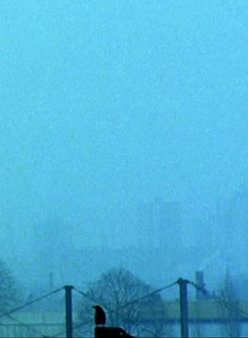 Les Choses rouges 1994 official movie poster
