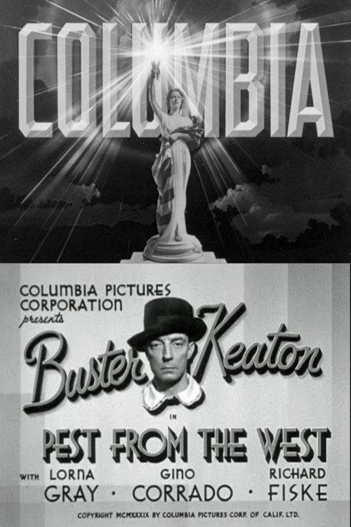 Pest from the West 1939 official movie poster