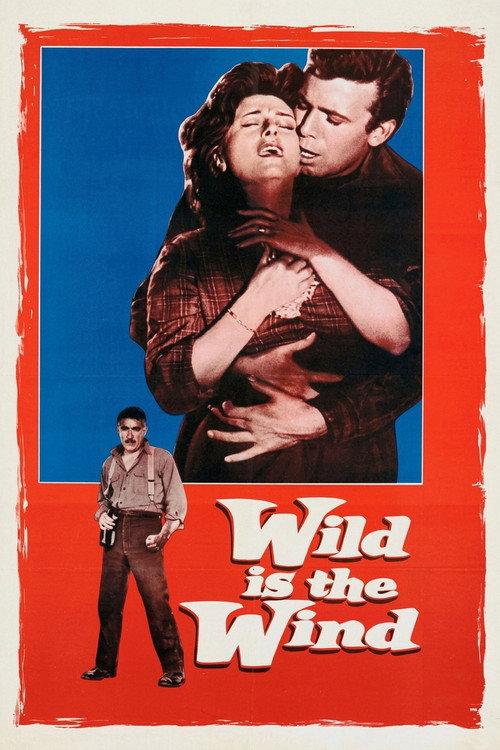 Wild Is the Wind 1957 official movie poster