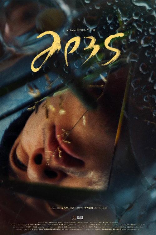 Apes 2026 official movie poster