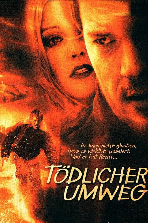 Deadly Diversion 2004 official movie poster