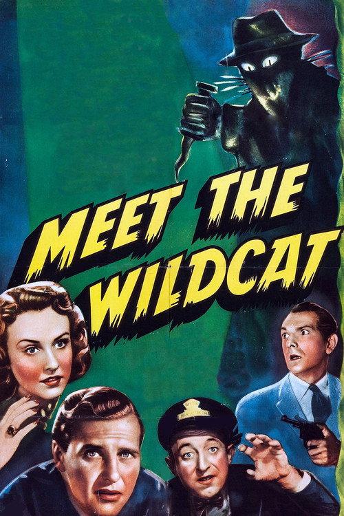 Meet the Wildcat 1940 official movie poster