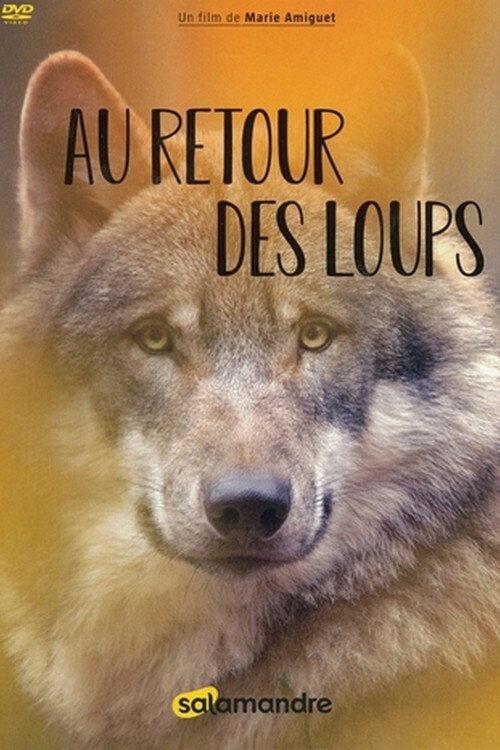 Au retour des loups 2020 official movie poster