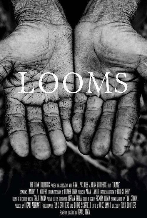 LOOMS 2014 official movie poster