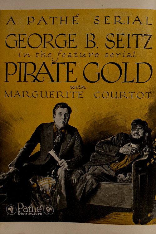 Pirate Gold 1920 official movie poster