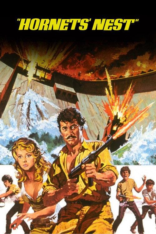 Hornets' Nest 1970 official movie poster