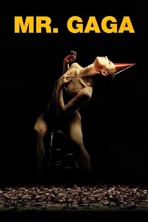 Mr. Gaga 2015 official movie poster