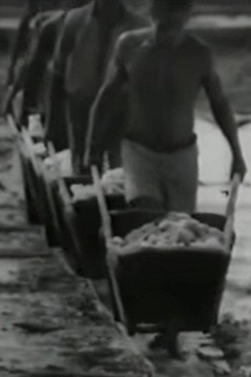Salt 1965 official movie poster