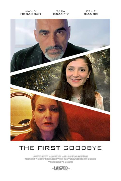 The First Goodbye 2021 official movie poster