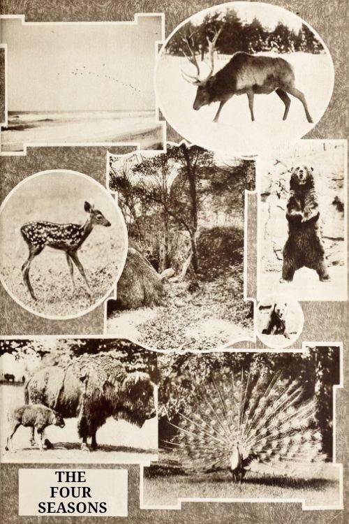 The Four Seasons 1921 official movie poster