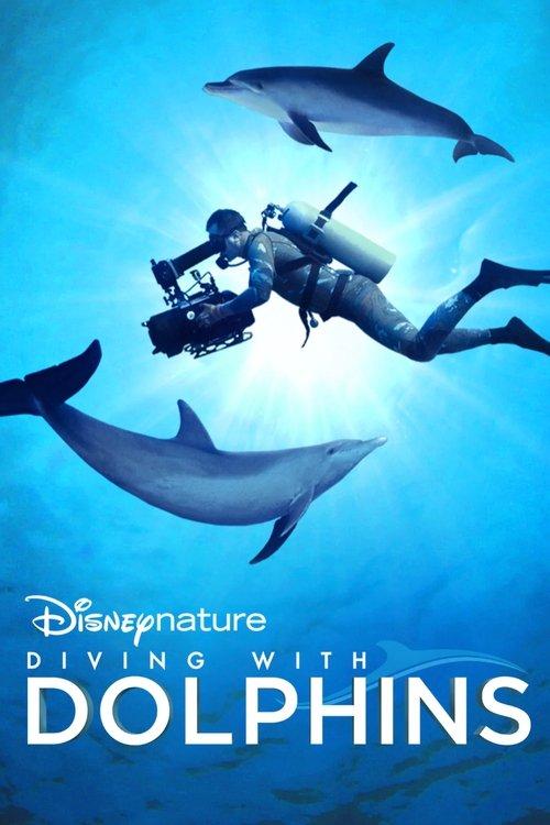 Diving with Dolphins 2020 official movie poster
