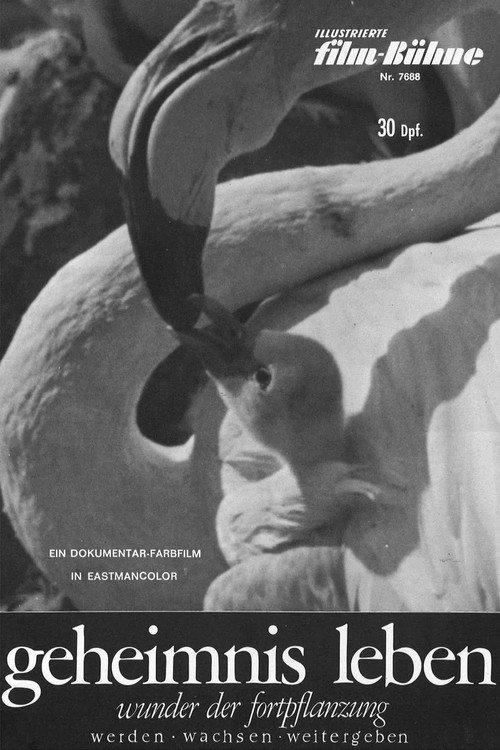 Geheimnis Leben - Wunder der Fortpflanzung 1966 official movie poster