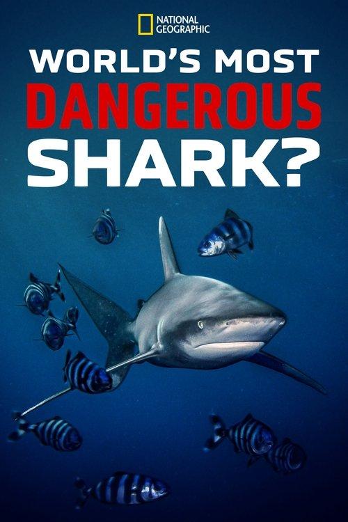World's Most Dangerous Shark? 2021 official movie poster