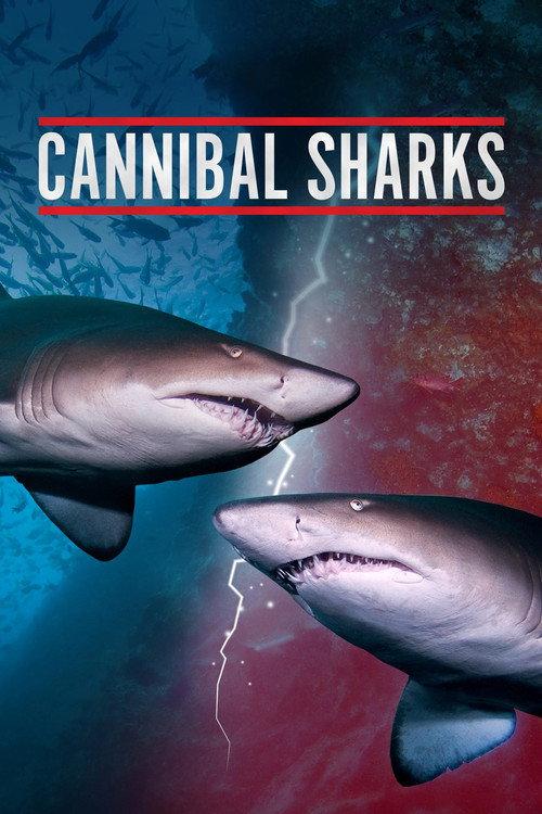 Cannibal Sharks 2019 official movie poster