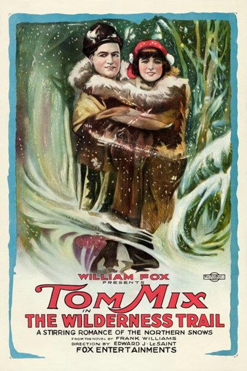 The Wilderness Trail 1919 official movie poster