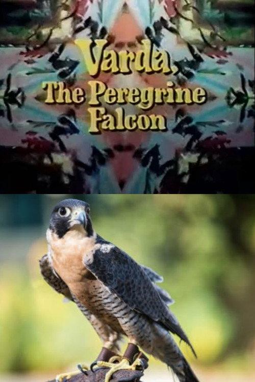 Varda, the Peregrine Falcon 1969 official movie poster