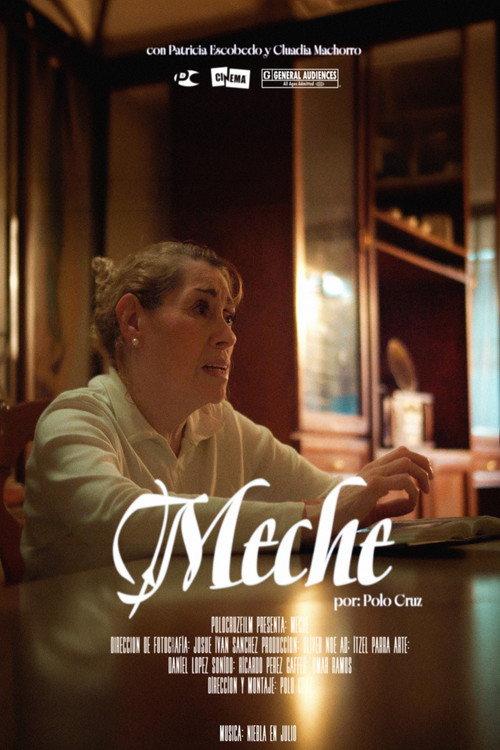 Meche 2026 official movie poster