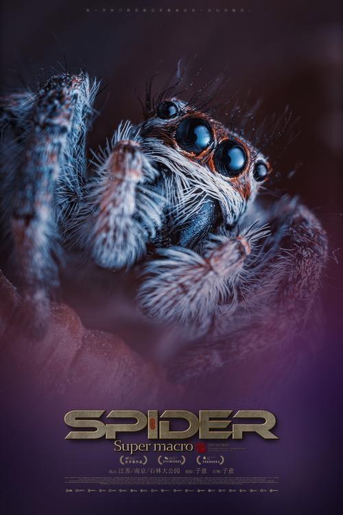 Super Spider 2012 official movie poster