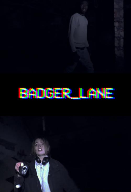 Badger Lane 2016 official movie poster