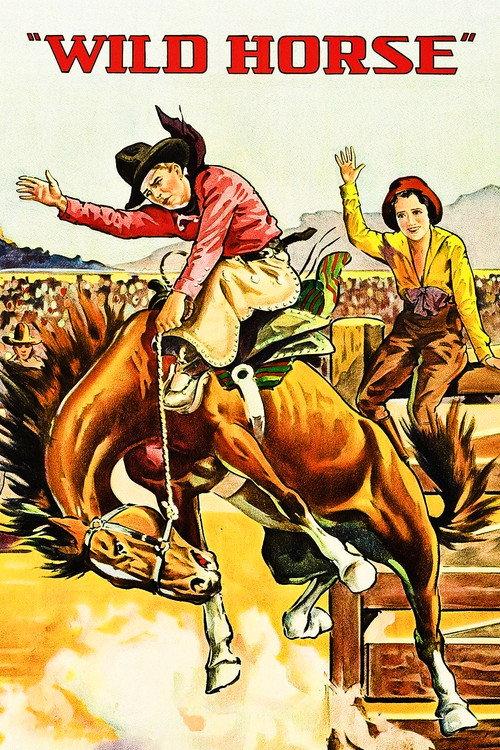 Wild Horse 1931 official movie poster