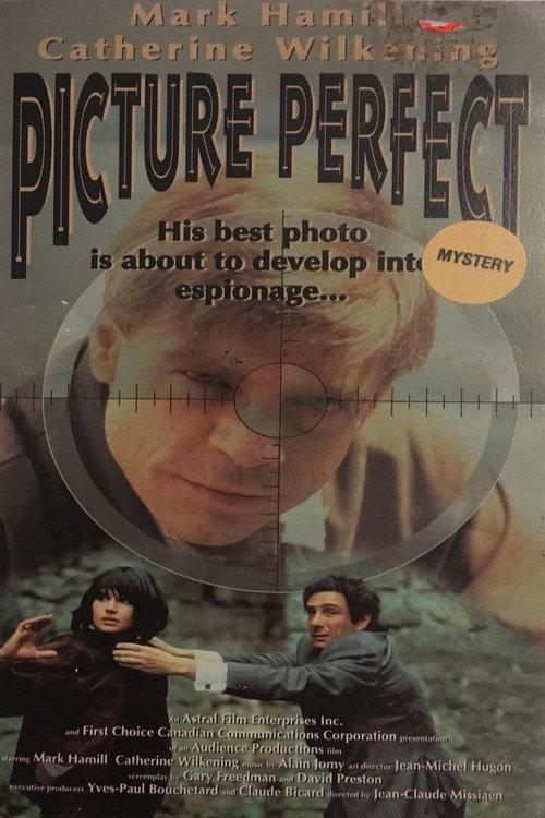Picture Perfect 1993 official movie poster