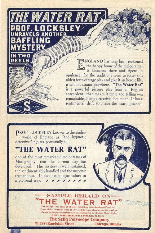 The Water Rat 1913 official movie poster
