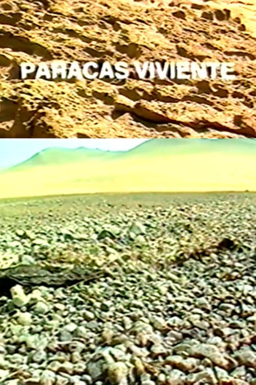 Paracas Viviente 1987 official movie poster