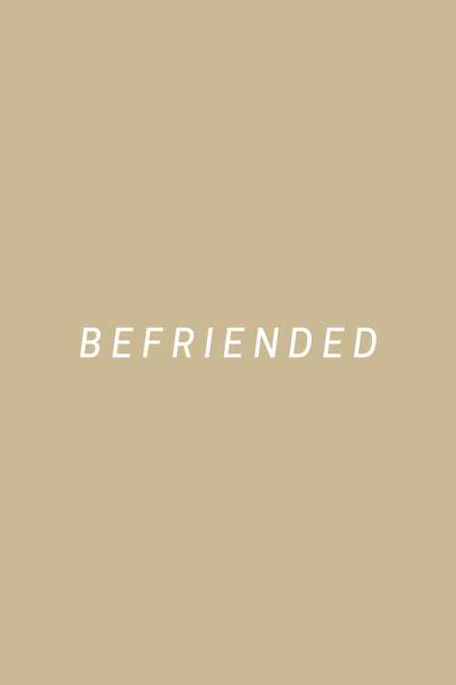Befriended 2017 official movie poster