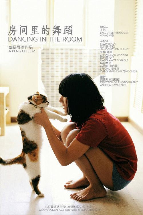 Dancing in the Room 2013 official movie poster