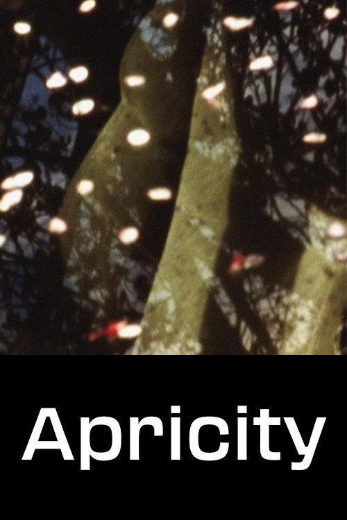 Apricity 2019 official movie poster