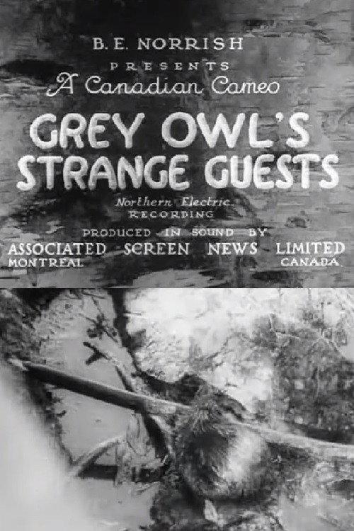 Grey Owl's Strange Guests 1934 official movie poster