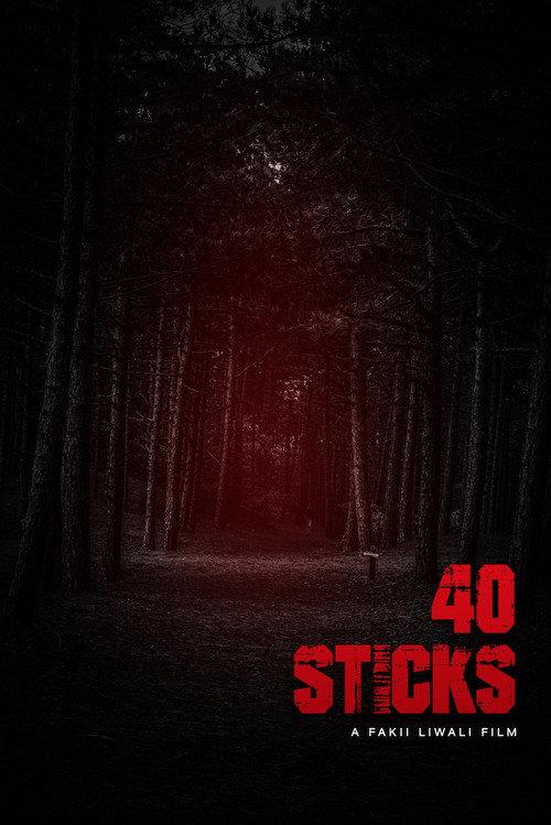 40 Sticks 2020 official movie poster