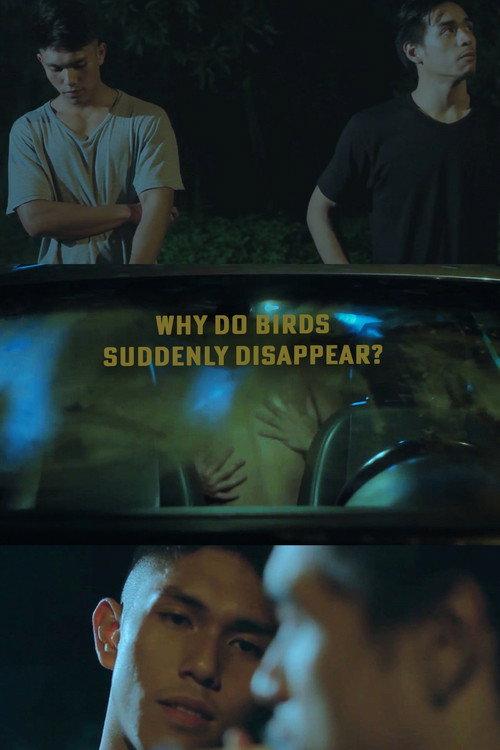 Why Do Birds Suddenly Disappear? 2019 official movie poster