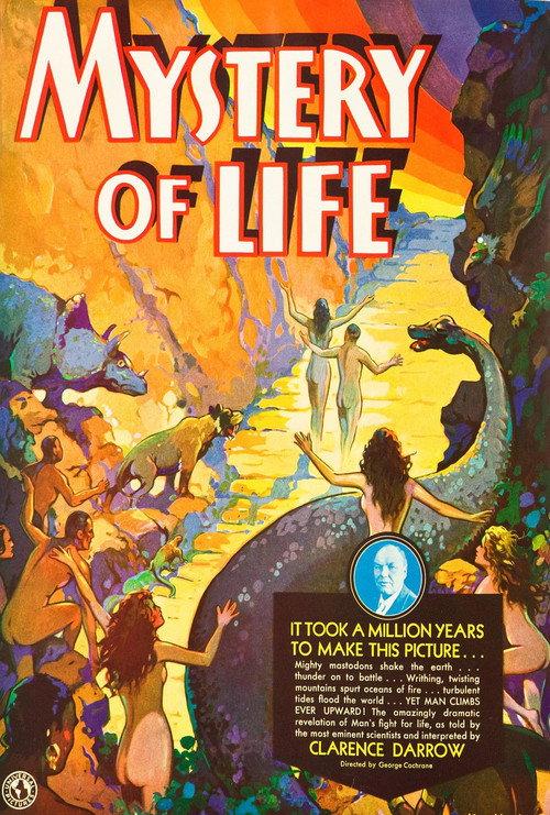 Mystery of Life 1931 official movie poster