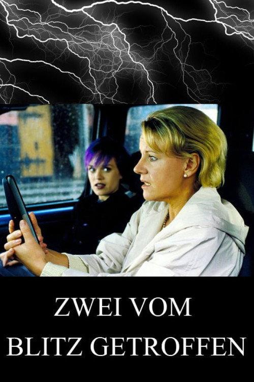 Zwei vom Blitz getroffen 2000 official movie poster