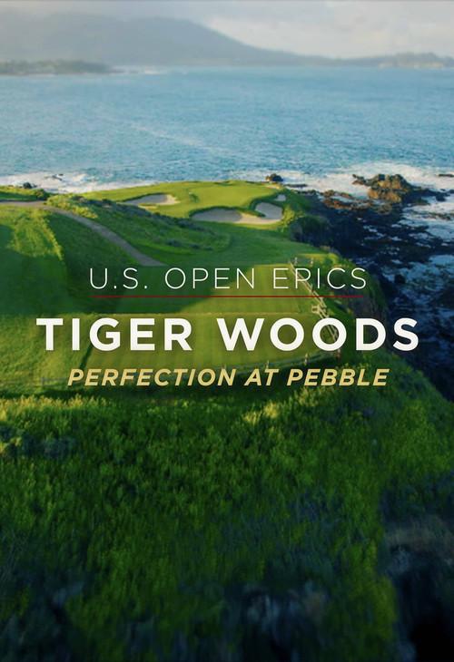 Perfection at Pebble 2019 official movie poster