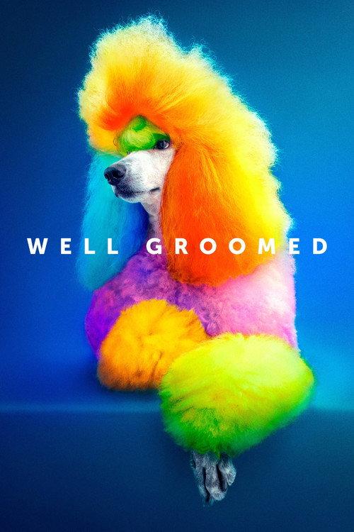 Well Groomed 2019 official movie poster