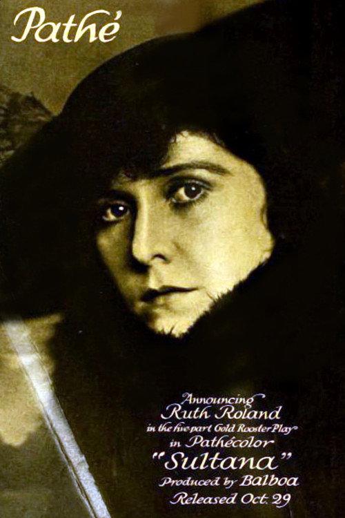 The Sultana 1916 official movie poster