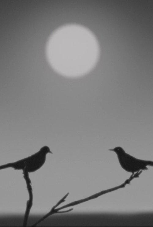 Birdsong 2023 official movie poster