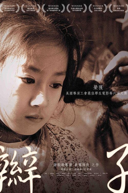 Braid 2011 official movie poster