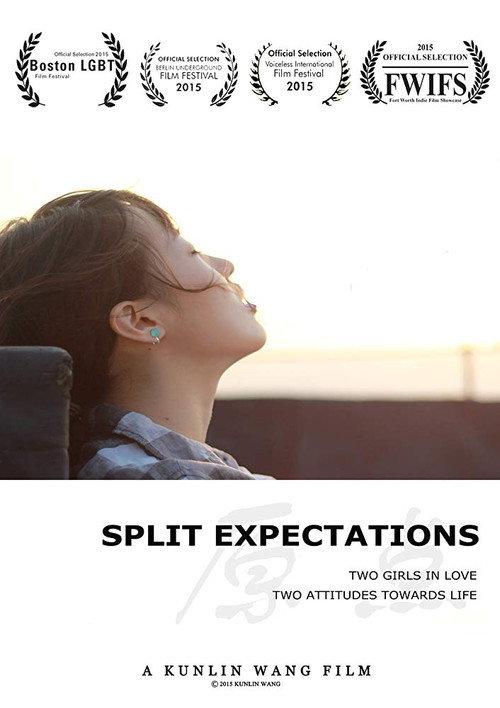 Split Expectations 2014 official movie poster