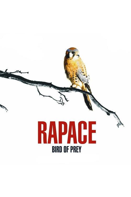 Bird of Prey 2006 official movie poster