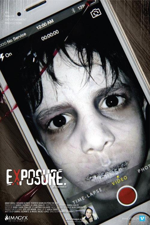 Exposure 2013 official movie poster