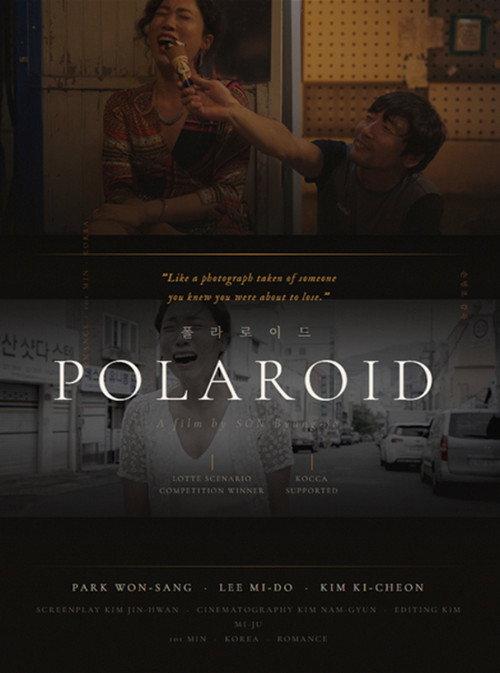 Polaroid 2026 official movie poster