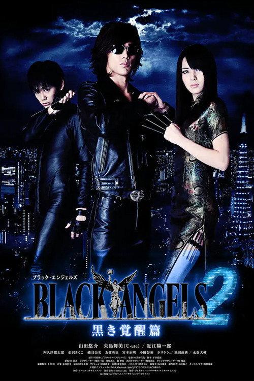 Black Angels 2 2012 official movie poster