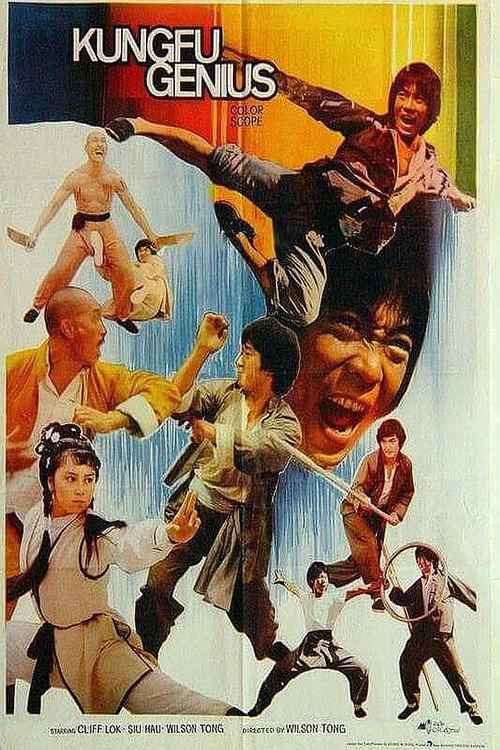 Kung Fu Genius 1979 official movie poster